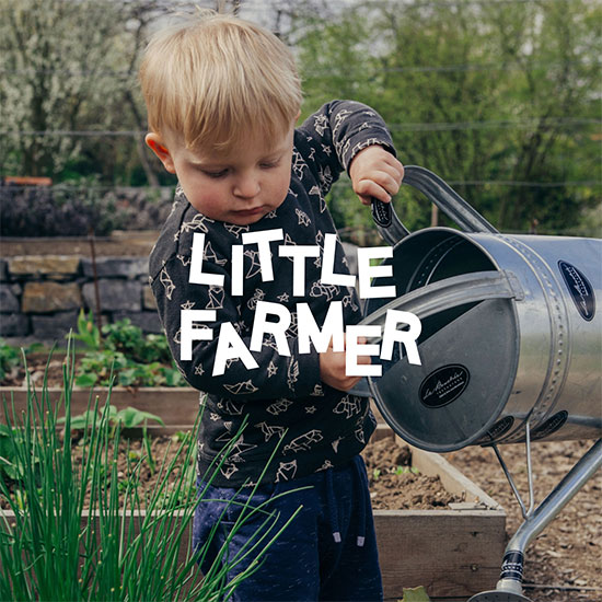 Cover Image for LITTLE FARMER