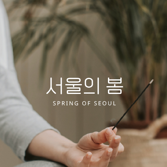 Cover Image for 서울의 봄